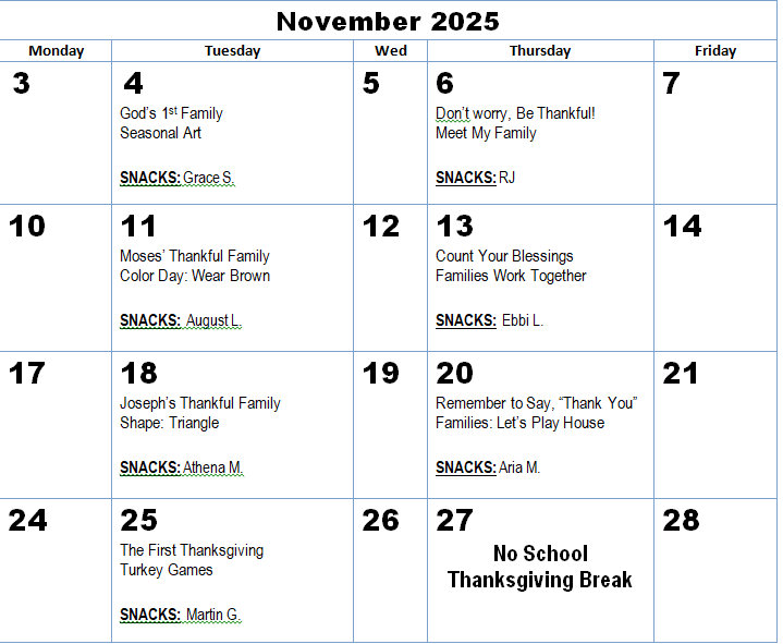 honeybee activity nov 2025